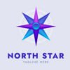 NORTH STARE INC